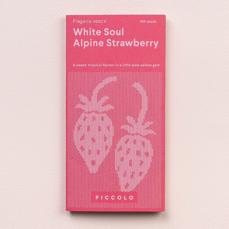 Frøpose med White Soul hvide alpine jordbærfrø fra Piccolo Seeds – naturlig mutation med tropisk smag af guava og ananas