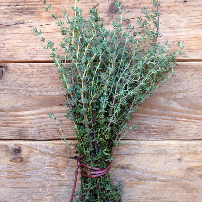Frøpose med Timian de Provence frø fra Piccolo Seeds – intenst krydret sort til det franske køkken