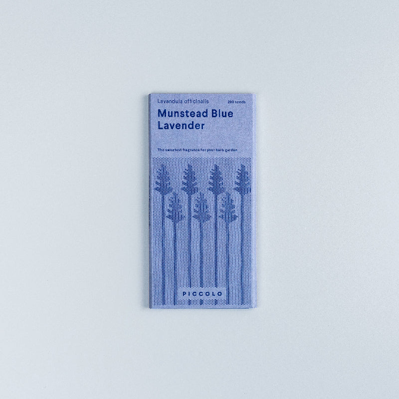 Frøpose med Munstead Blue lavendelfrø fra Piccolo Seeds – kompakt sort med blålig-lilla blomster og stærk aroma
