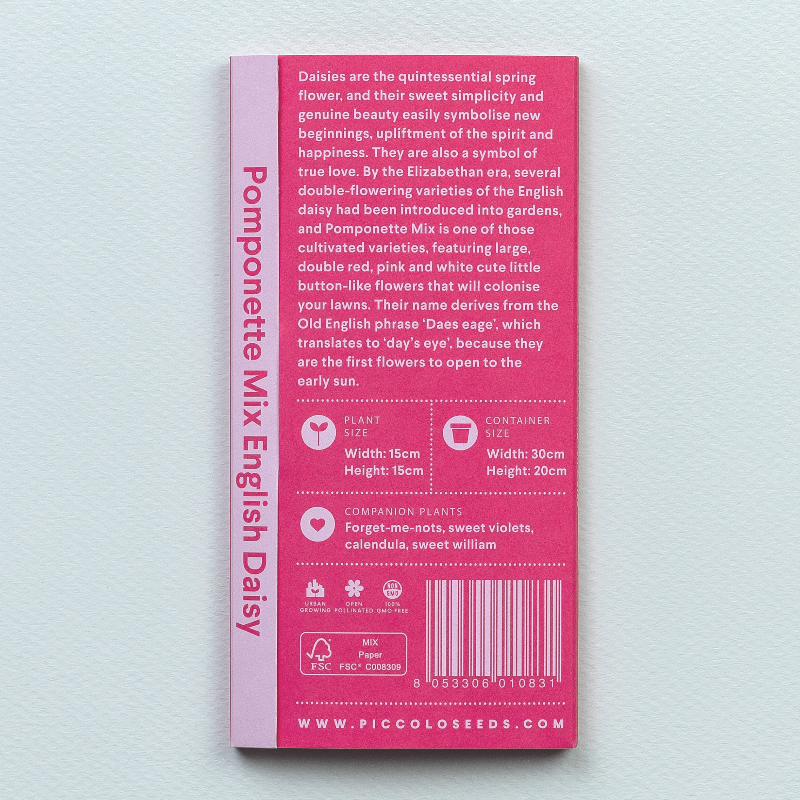 Frøpose med engelsk tusindfryd Pomponette Mix fra Piccolo Seeds – dobbelte blomster i rødt, pink og hvidt