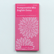 Frøpose med engelsk tusindfryd Pomponette Mix fra Piccolo Seeds – dobbelte blomster i rødt, pink og hvidt