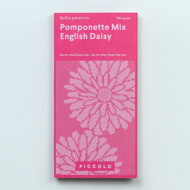 Frøpose med engelsk tusindfryd Pomponette Mix fra Piccolo Seeds – dobbelte blomster i rødt, pink og hvidt