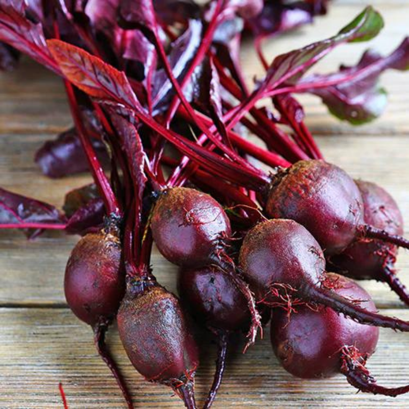Frøpose med Bull's Blood rødbederfrø fra Piccolo Seeds – viktoriansk arvestykke med dybe burgunderfarvede blade og rødder