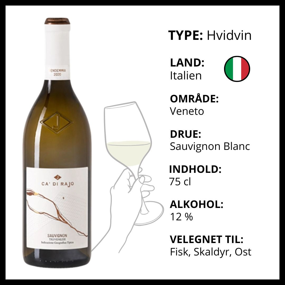 Italiensk Ca Di Rajo Sauvignon Blanc hvidvin fra Veneto, velegnet til fisk og skaldyr.